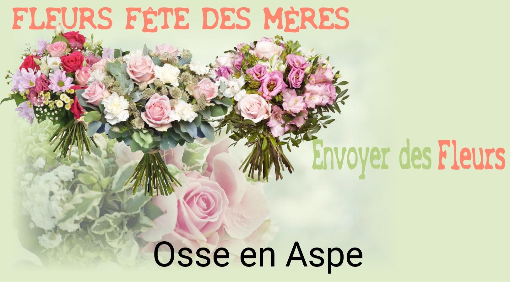 Bouquet de Fête des Mères livré à Osse-en-Aspe